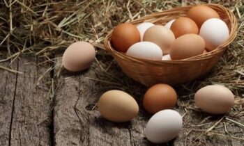 Giải Mã Ý Nghĩa Mơ Thấy Trứng Gà Và Đánh Con Gì Ăn Chắc?